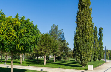 Fototapeta na wymiar Landscape with green grass, ornamental and evergreen trees. Public landscape сity park 'Krasnodar' or 'Galitsky park' for relaxation and walking.