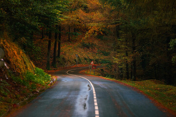 Obraz premium Road through the basque forest at Aiako Harriak natural park.