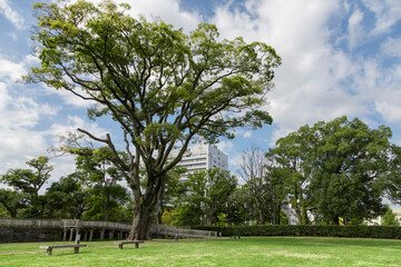 和歌山城二の丸