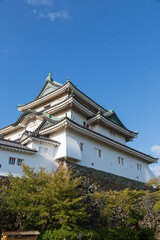 Fototapeta premium 和歌山城大天守