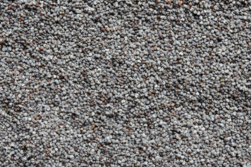 Background from blue poppy seeds, top view. Heap of poppy seeds, texture, background. Background of small poppy seeds, top view.