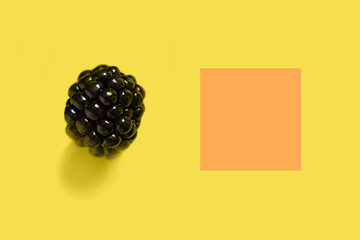 Blackberry on an illuminating yellow background next to the orange square. High quality photo