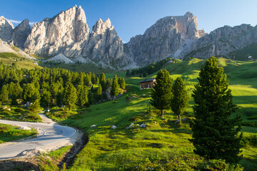 road in dolomites, trees and mountains in background, summer holiday in italy