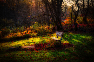 Bench at sunrise in our yard in Upstate NY in the small town of Windsor in late Autumn