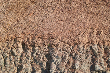 掘削で露出した赤土と青っぽい地肌