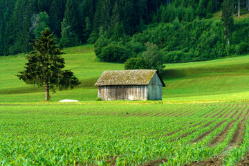 Cycleway of Pusteria valley at summer