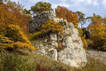 Eine Felsnase der 12 Apostel im fränkischen Bayern mit Bäumen in herbstlichen Farben