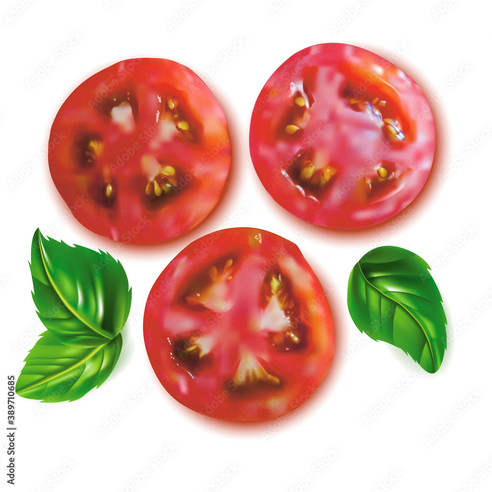 Sticker Realistic Detailed 3d Slice Tomato and Basil Leaves Set. Vector