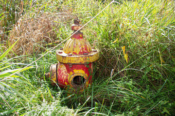 An old fire hydrant in the weeds.