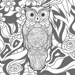 Square ornate pattern with outlined owl. Hand drawn ornate background. Black and white illustration