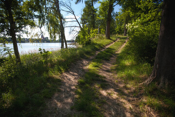 Obraz premium Ścieżka śród drzew nad jeziorem