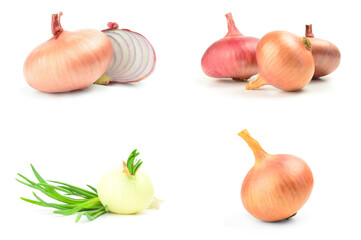 Collage of Ripe onion isolated on a white background with clipping path