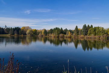 Autumn Season at a Pond