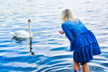 blond woman in blue dress feeding a swan at lake