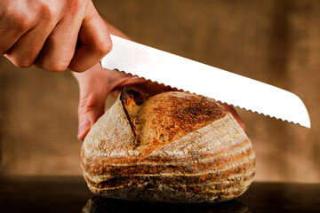 freshly baked loaf of artisan whole wheat rustic sourdough bread. food healthy concept.