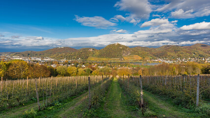 Fototapeta na wymiar Blick zum Siebengebirge im Herbst 2020; Deutschland