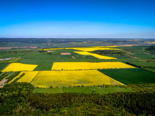 aerial view of german wide angle landscape with yellow rape fields in spring - 389714852