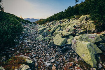 A group of people on a rocky hill