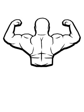 Kontur Muskeln Zeigen 