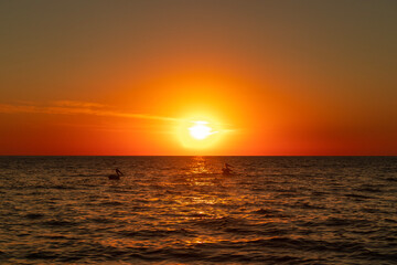 sunset on the sea with pelicans in shadows