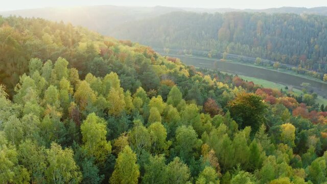 aerial flight over colorful trees and river Elbe in Saxon Switzerland, Germany