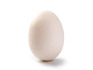 one egg isolated on white background