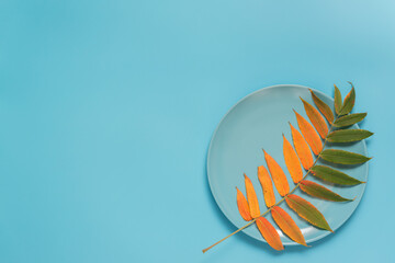 Abstract autumn greeting card: beautiful yellowed leaf on a blue background. Flat lay. Copy space