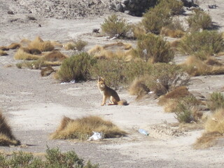Exploring the salt flats, deserts and mountain landscapes around Salar de Uyuni in Bolivia, South America