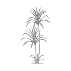 Vector illustration of palm and cane symbol. Web element of palm and field stock symbol for web.