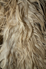 
texture image of sheep wool