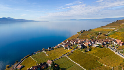 Legends of the fall in Lavaux, Switzerland.