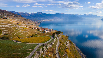 Legends of the fall in Lavaux, Switzerland.