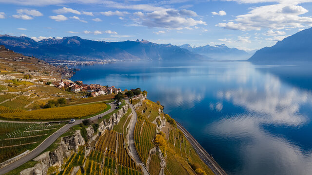 Legends of the fall in Lavaux, Switzerland.