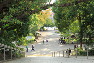 上野公園明治初期の階段