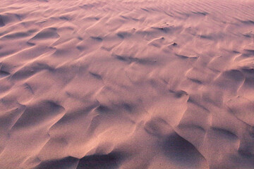 ripples in the sand
