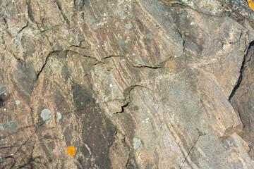 The texture of natural stone is light gray colour.