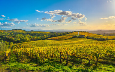 Gaiole in Chianti vineyards and panorama at sunset. Tuscany, Italy