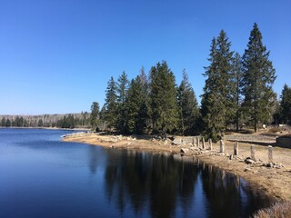 Wandern um den Oderteich bei Andreasberg