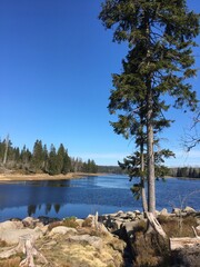 Am Oderteich im Harz