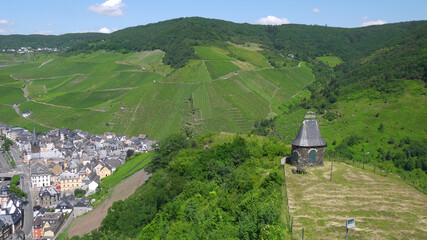 Weinanbau an der Mosel