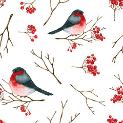 Seamless pattern with watercolor bullfinch, branches, red berries. Hand drawn illustration is isolated on white. Winter ornament is perfect for christmas design, holiday background, fabric textile