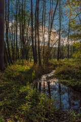 Utersky creek with color trees and meadow near Utery town in autumn evening