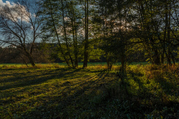 Utersky creek with color trees and meadow near Utery town in autumn evening