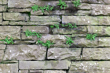 stone wall background