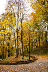 Beautiful autumn park in the city