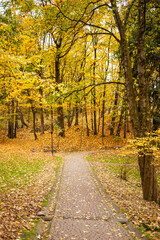 Beautiful autumn park in the city