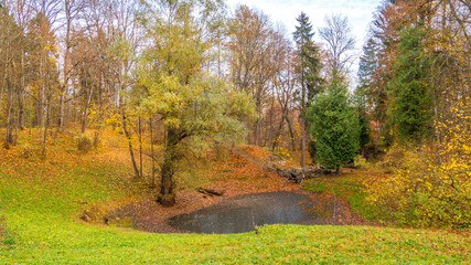 Autumn in the park. Tree by the pond