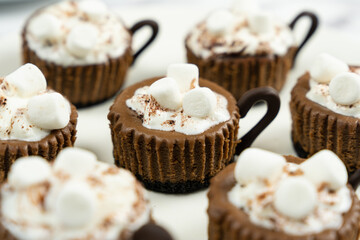 Mini chocolate cheesecake decorated with whipped cream and marshmallow like a hot cocoa drink