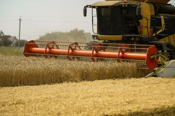 Fototapeta premium Combine harvester agriculture machine harvesting golden ripe wheat field. Agriculture. Combine harvester harvesting wheat with dust straw in the air. Heagy agricultural machinery.