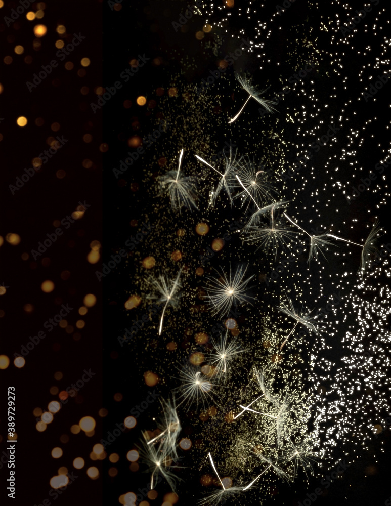 Poster white inflorescences dandelion on dark background with golden and silver sparkles. blurred effect. c